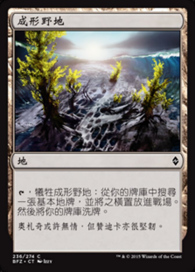 成形野地