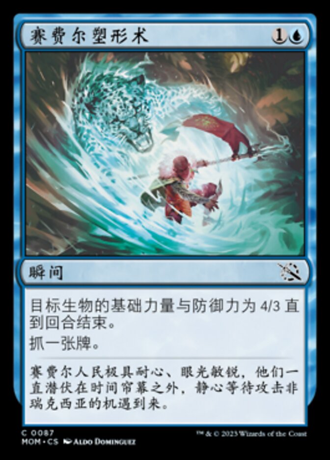 赛费尔塑形术