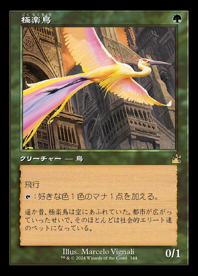 極楽鳥