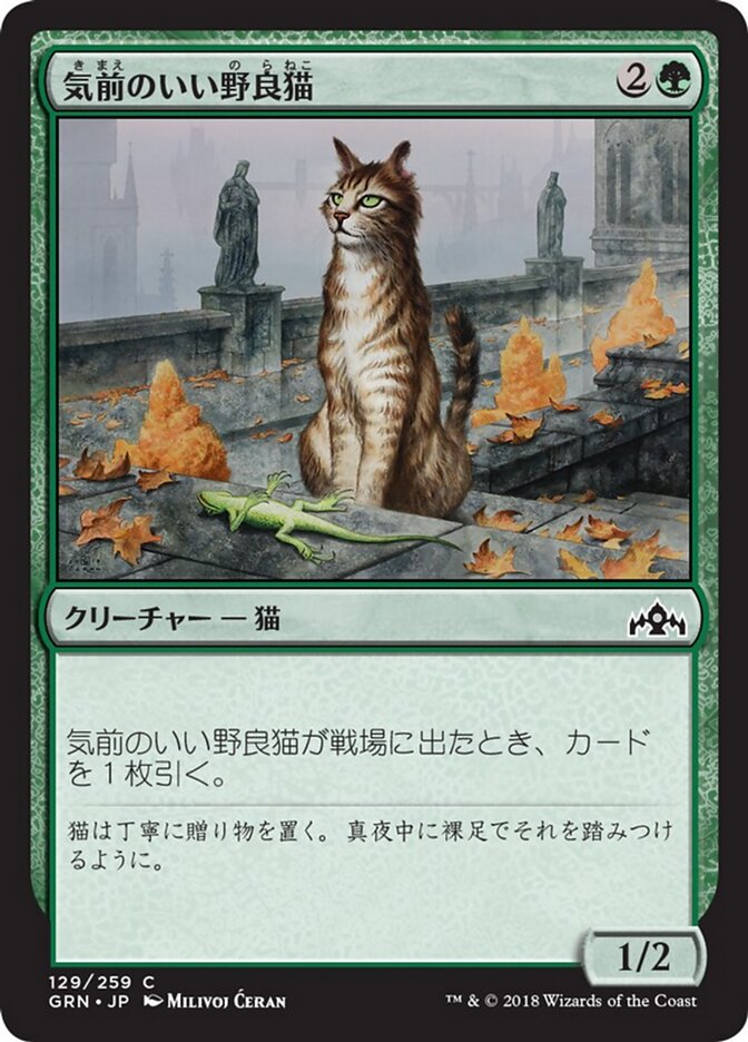 気前のいい野良猫