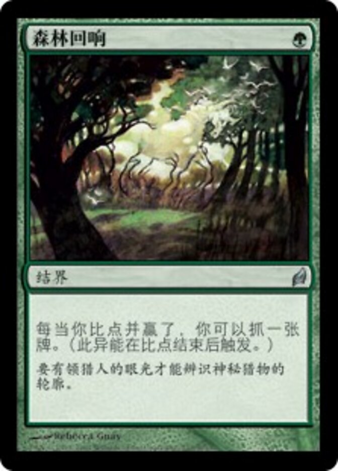 森林回响