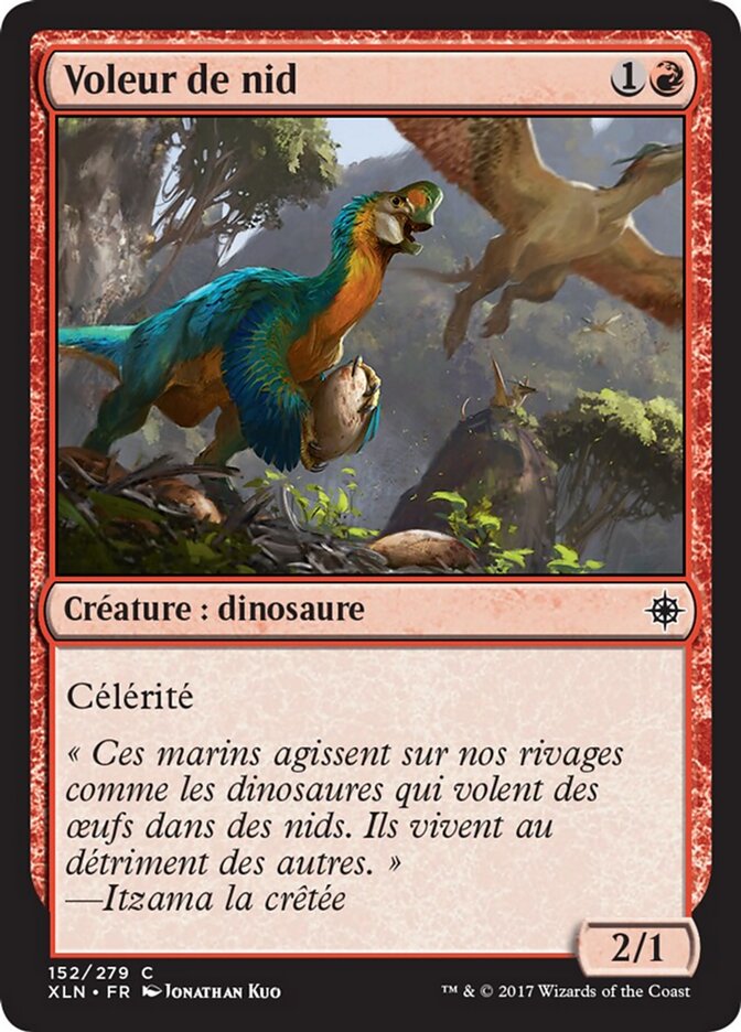 Voleur de nid