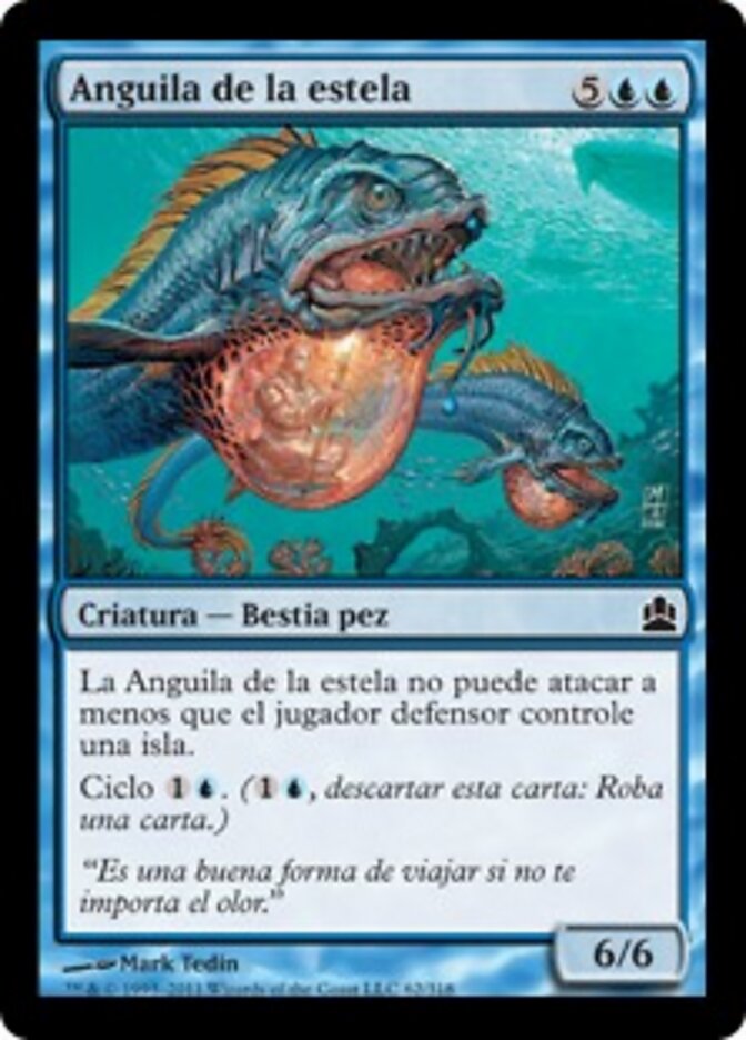 Anguila de la estela