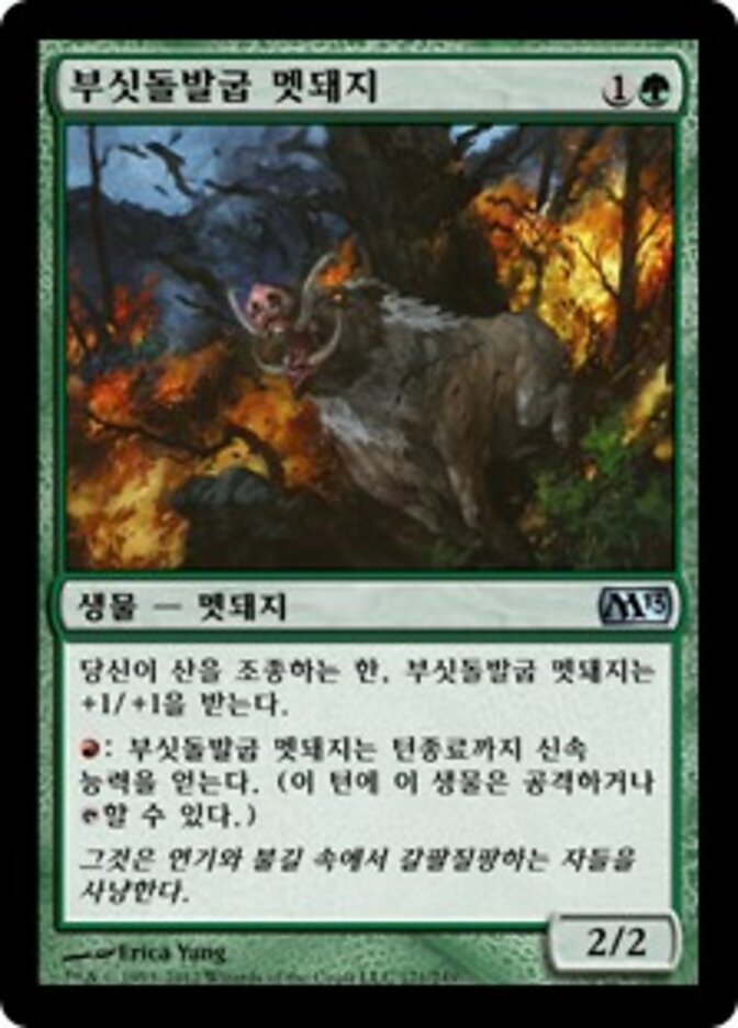 부싯돌발굽 멧돼지