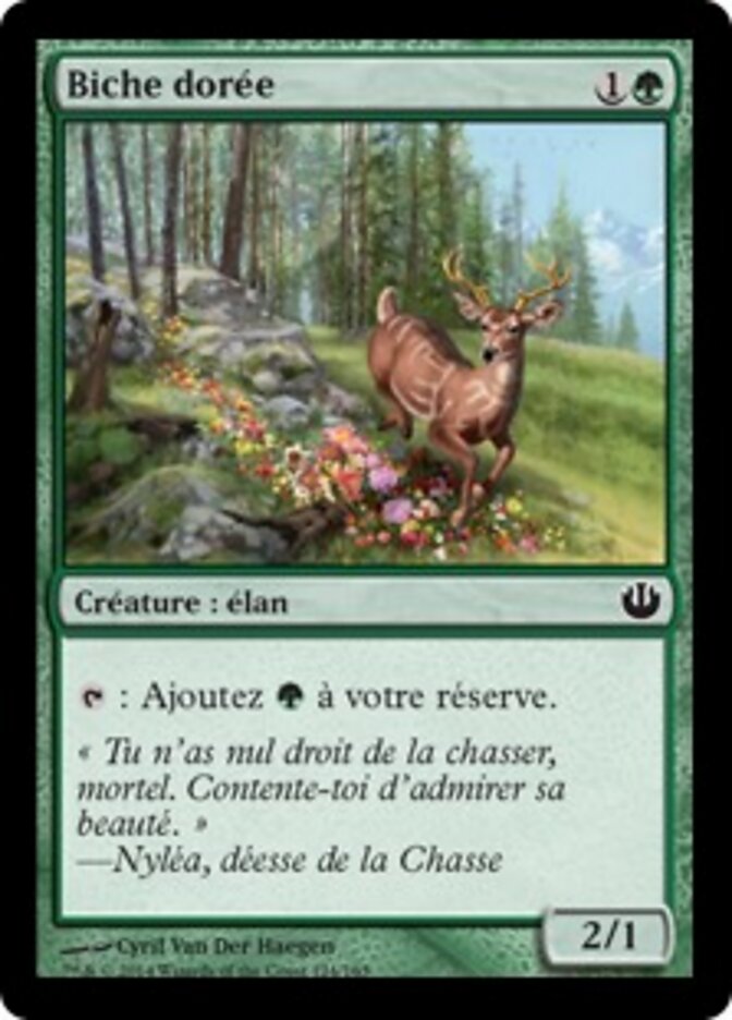 Biche dorée