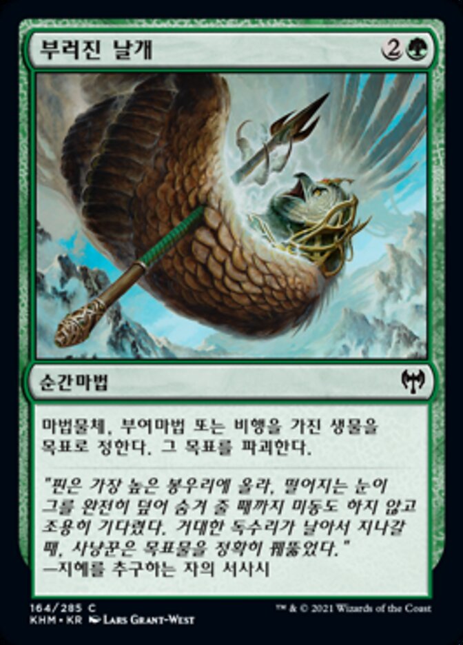 부러진 날개