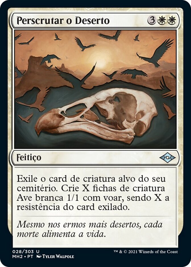 Perscrutar o Deserto