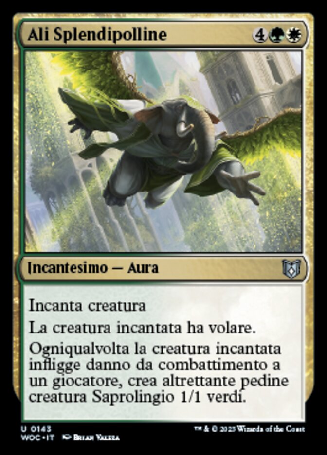 Ali Splendipolline