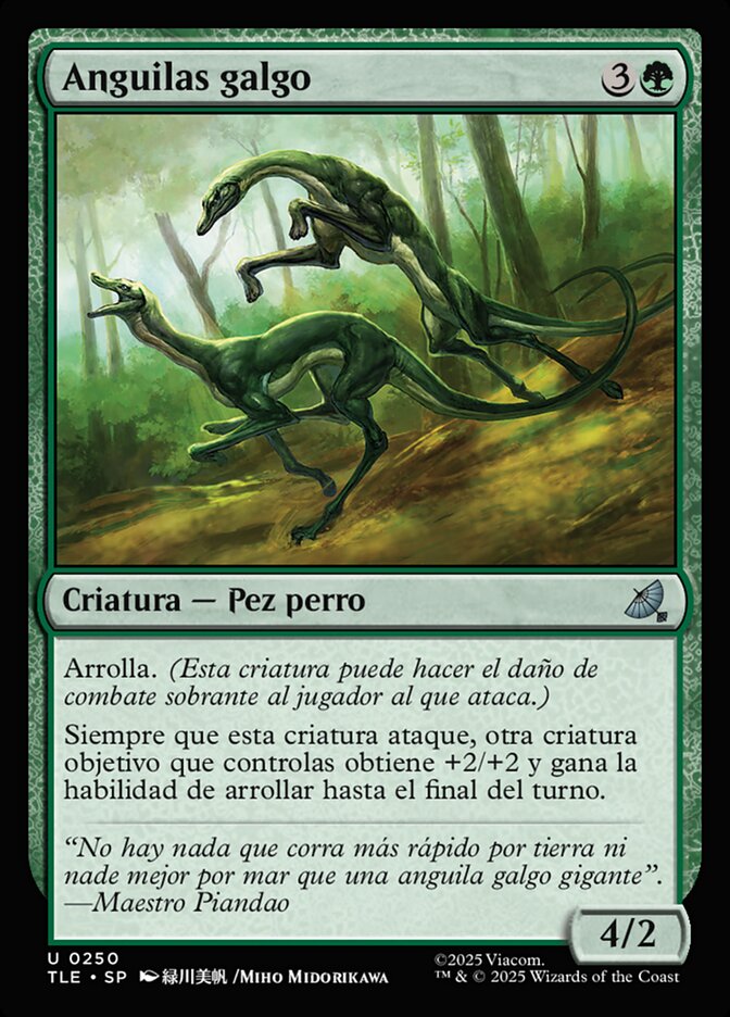 Anguilas galgo