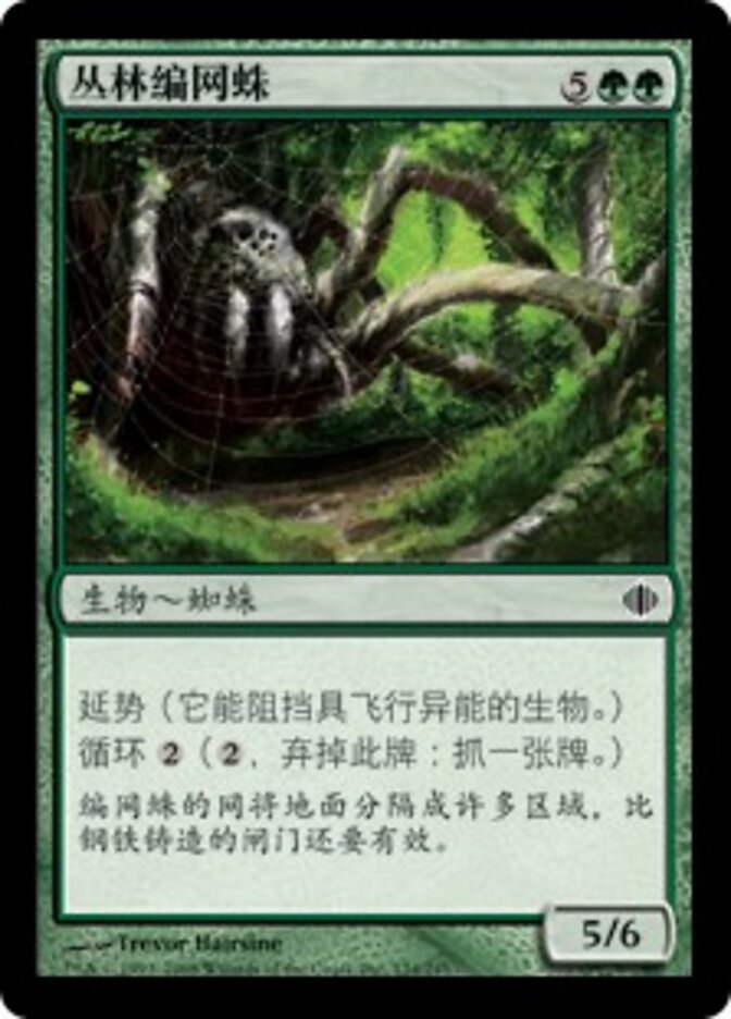 丛林编网蛛