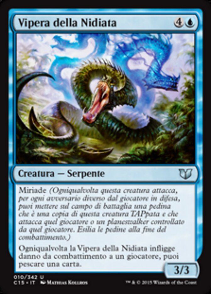Vipera della Nidiata