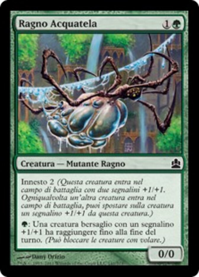 Ragno Acquatela