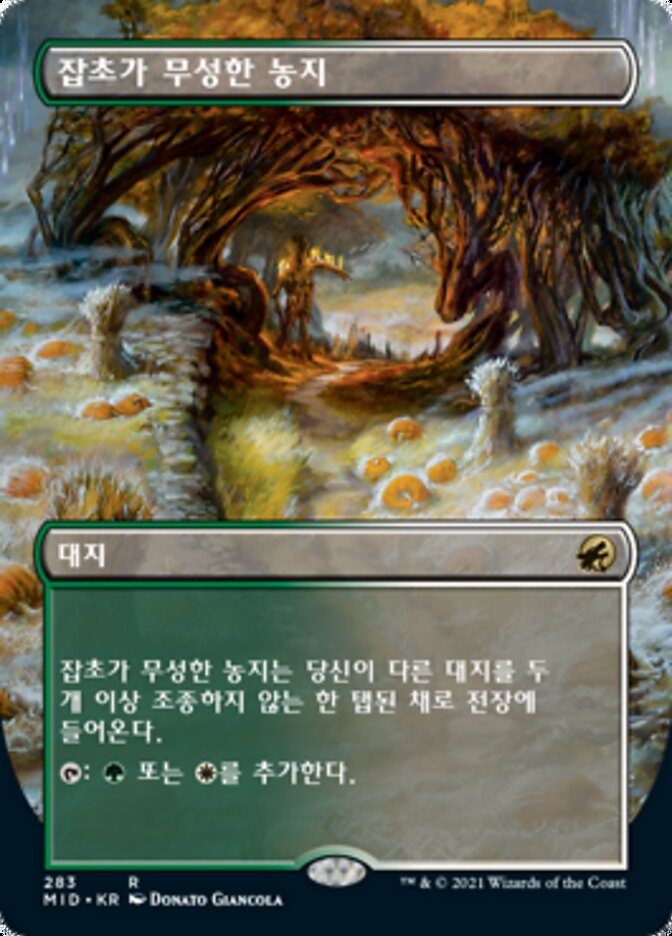 잡초가 무성한 농지