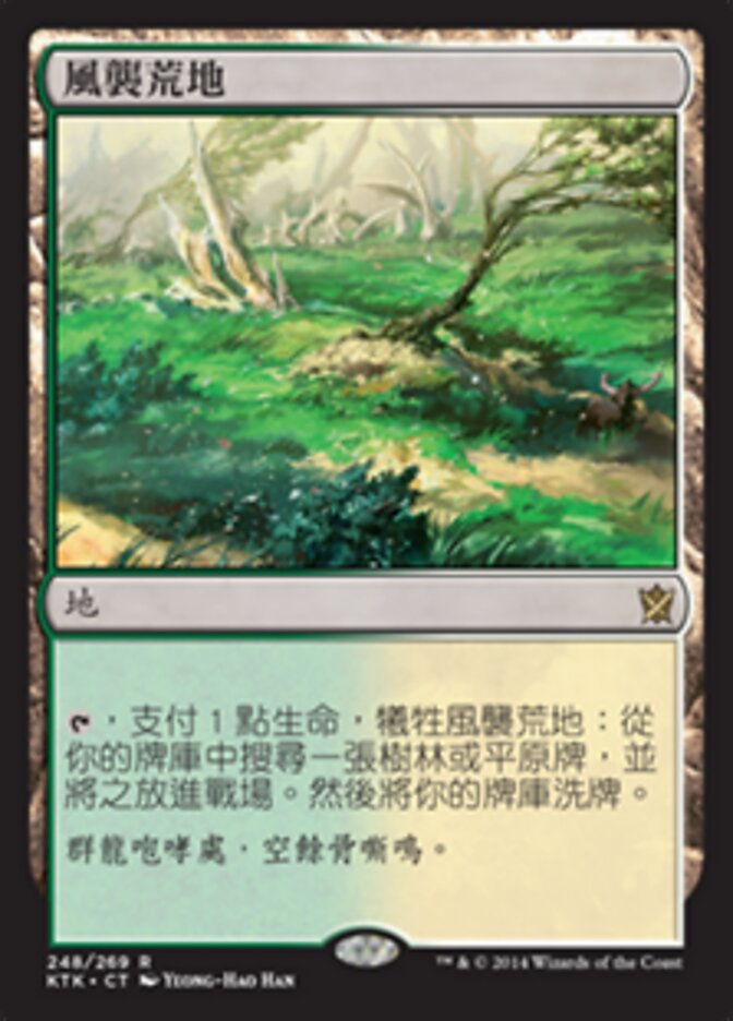 風襲荒地