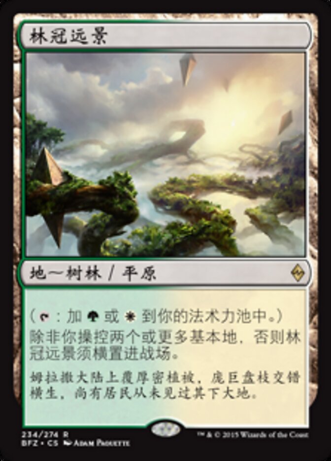 林冠远景