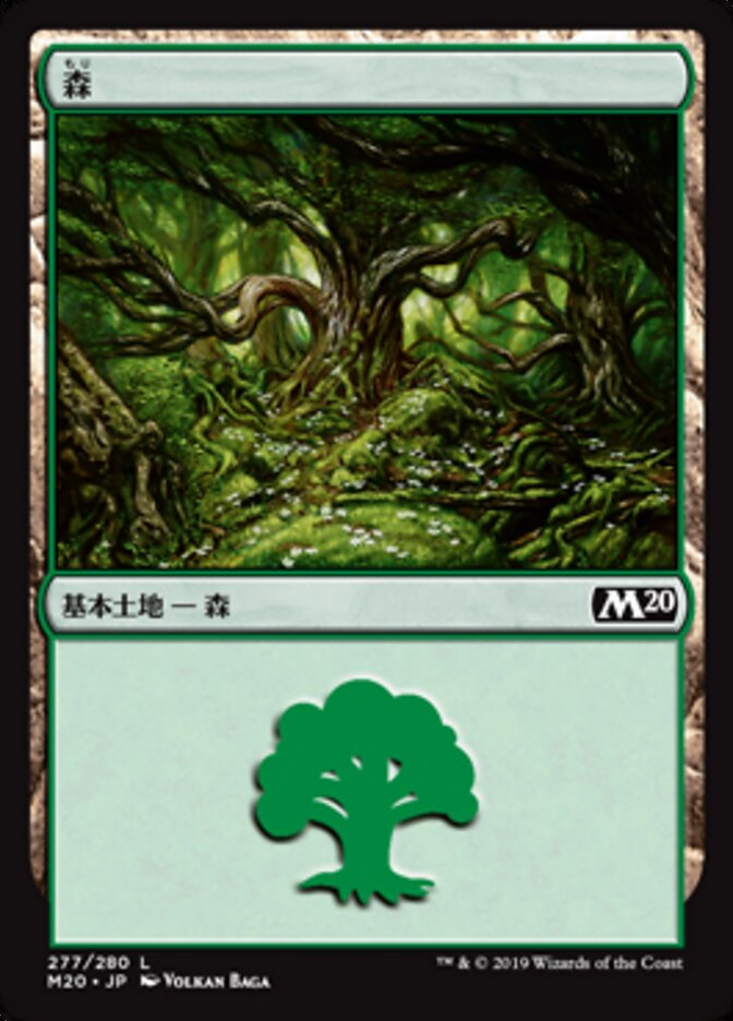 森