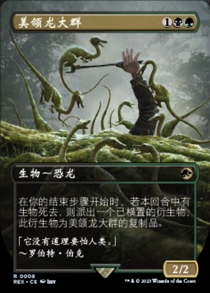 美颌龙大群