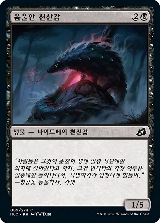 음울한 천산갑