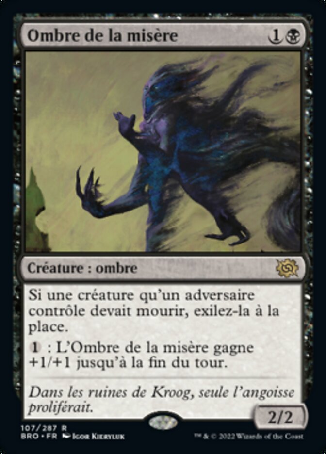 Ombre de la misère