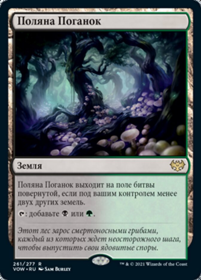 Поляна Поганок