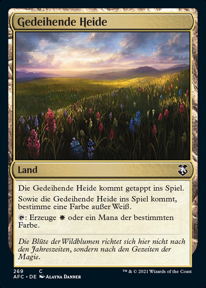 Gedeihende Heide