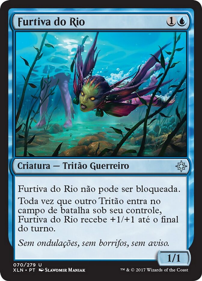 Furtiva do Rio