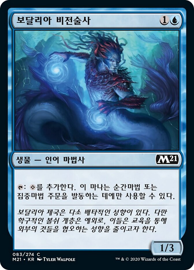 보달리아 비전술사