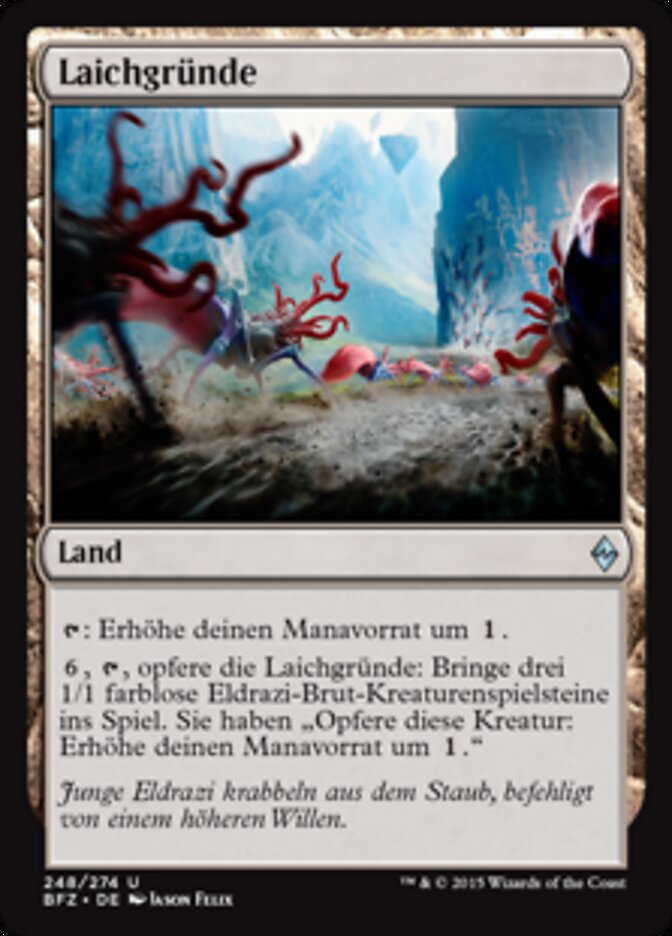 Laichgründe