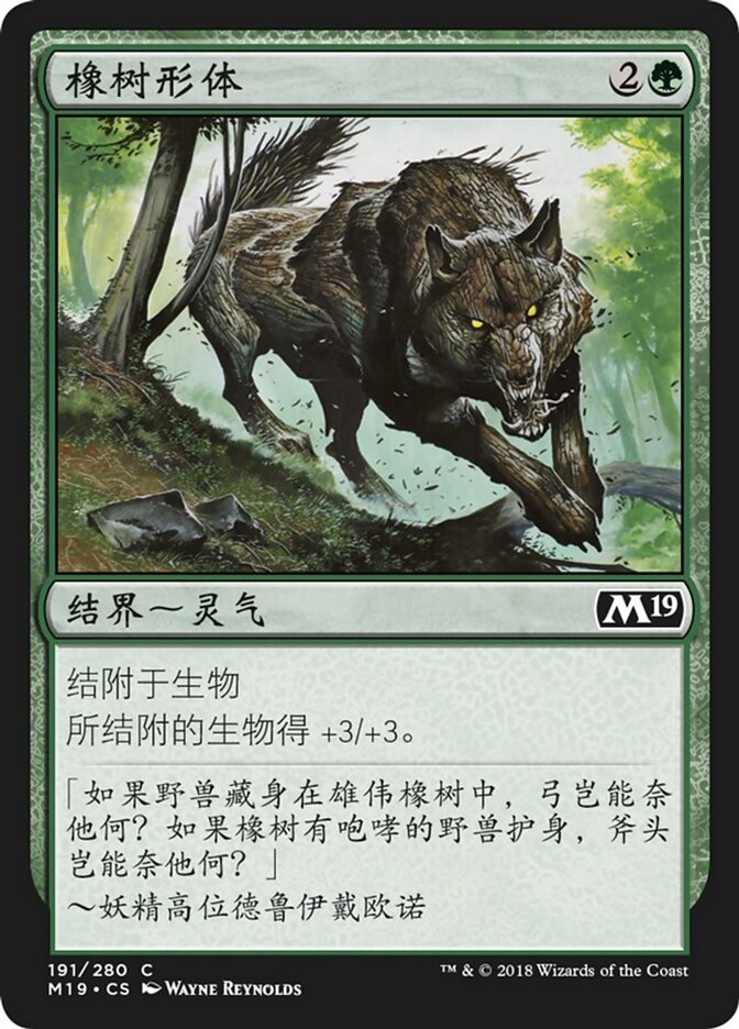 橡树形体