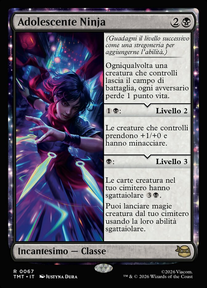 Adolescente Ninja