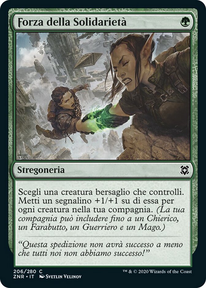 Forza della Solidarietà