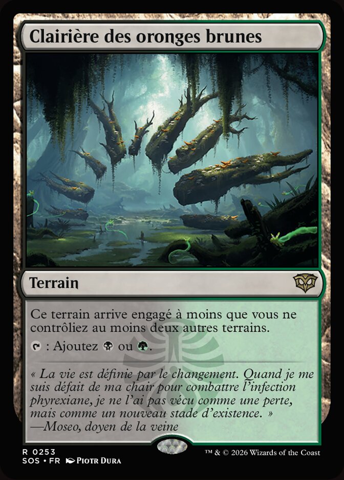 Clairière des oronges brunes