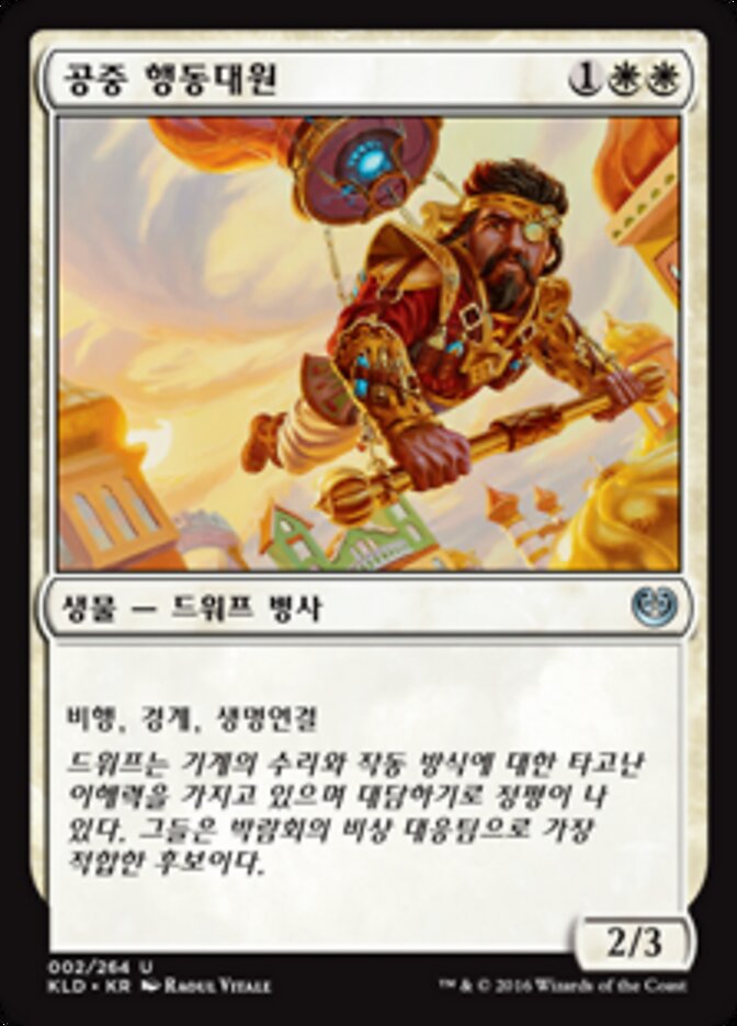 공중 행동대원