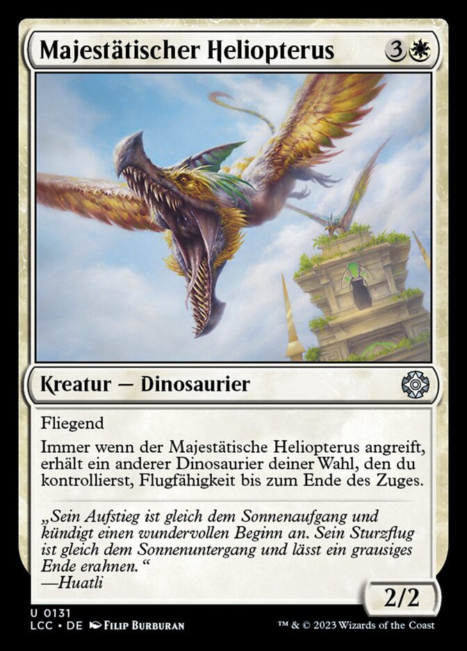 Majestätischer Heliopterus
