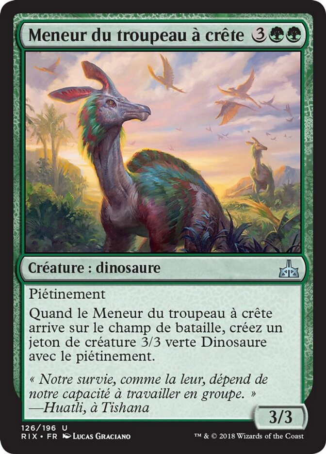 Meneur du troupeau à crête