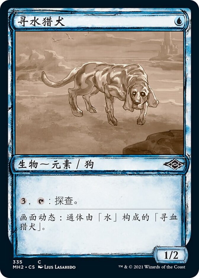 寻水猎犬
