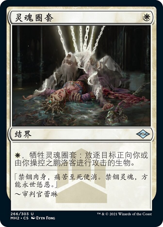 灵魂圈套