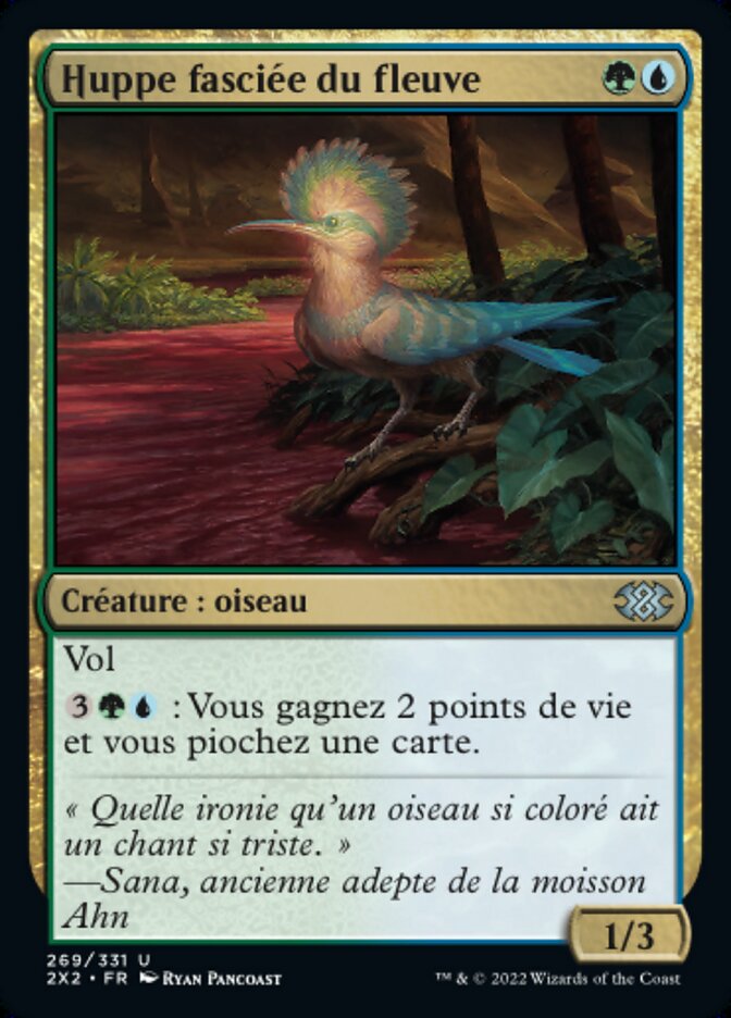 Huppe fasciée du fleuve