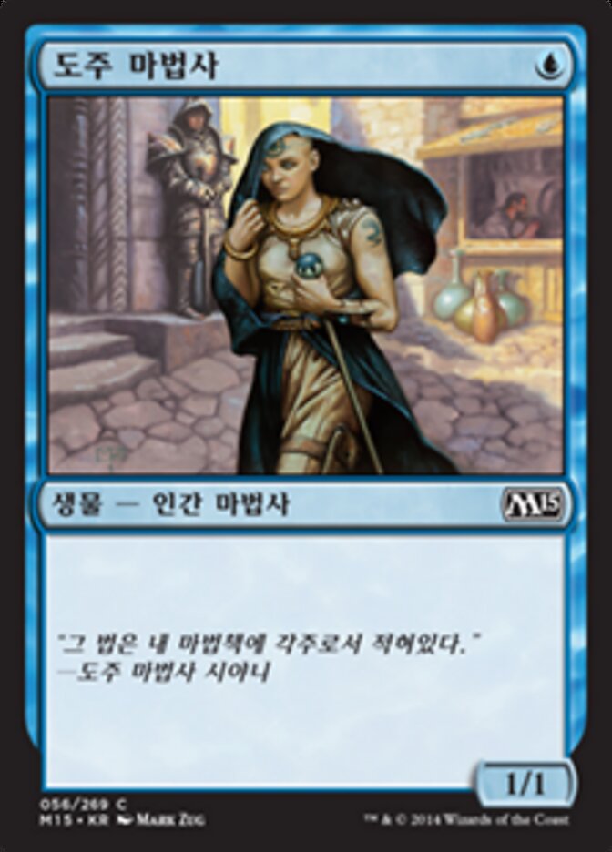 도주 마법사