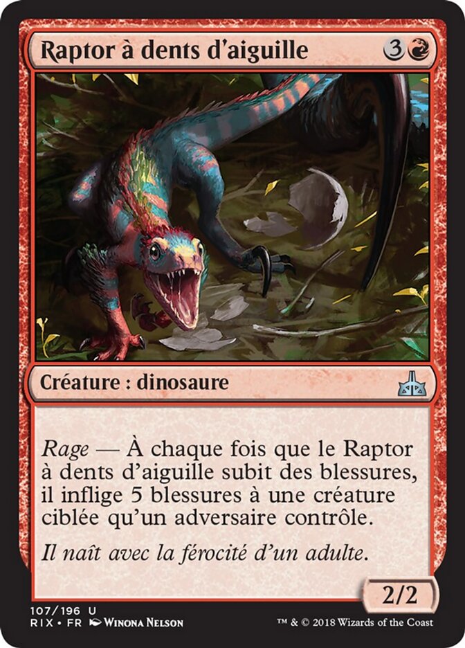 Raptor à dents d'aiguille
