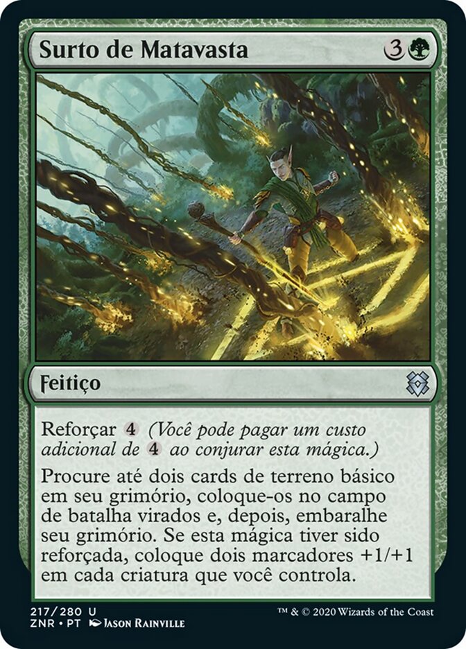 Surto de Matavasta