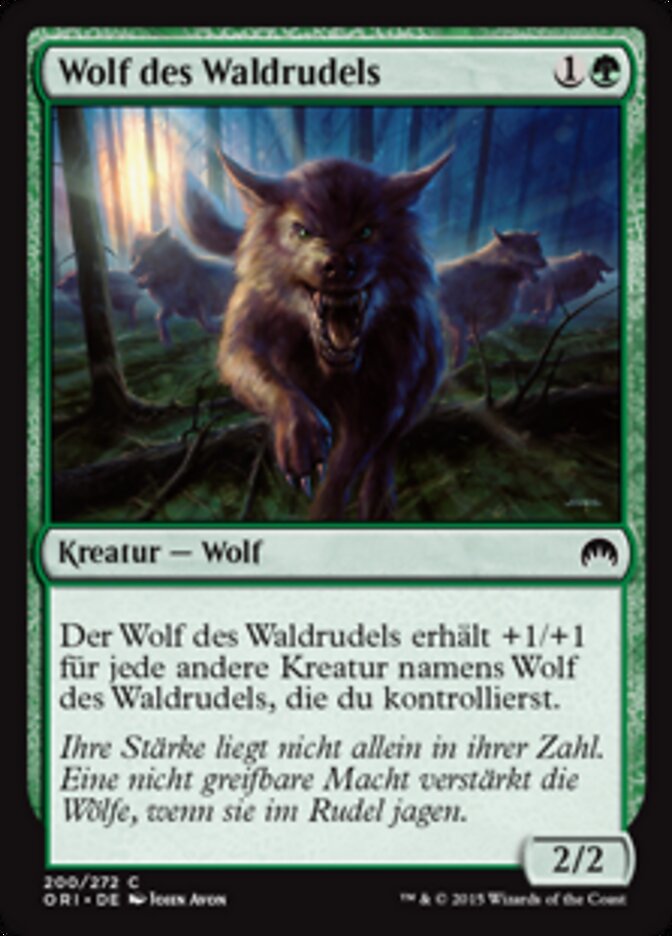 Wolf des Waldrudels