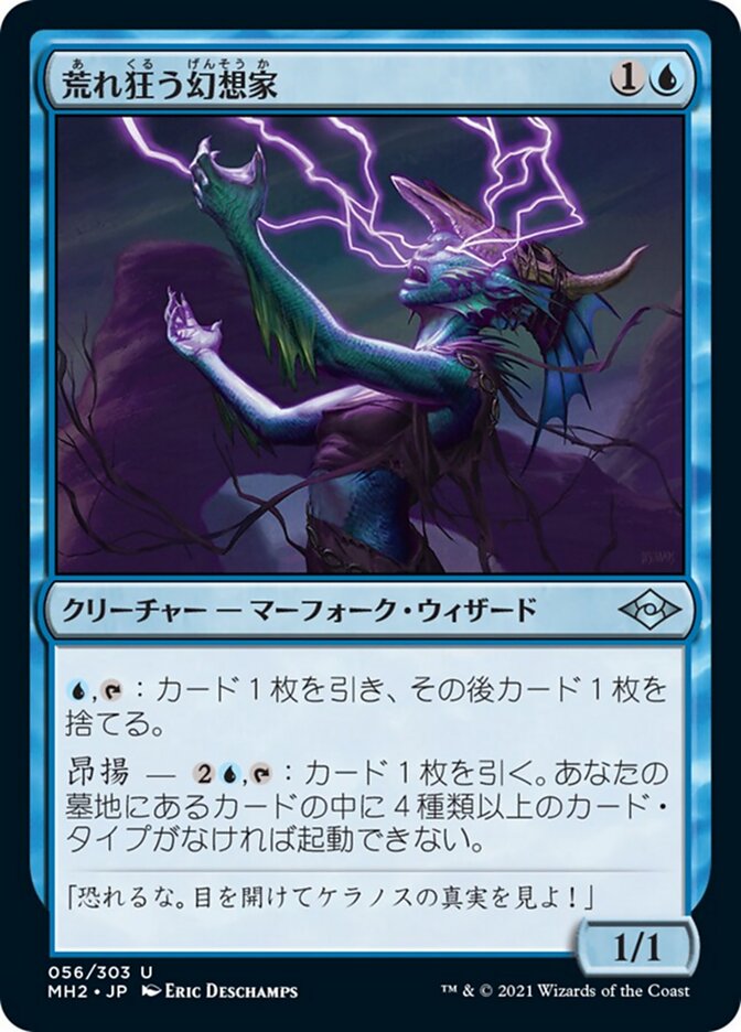 荒れ狂う幻想家