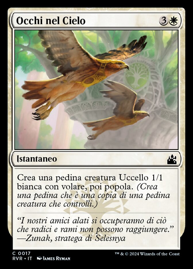 Occhi nel Cielo