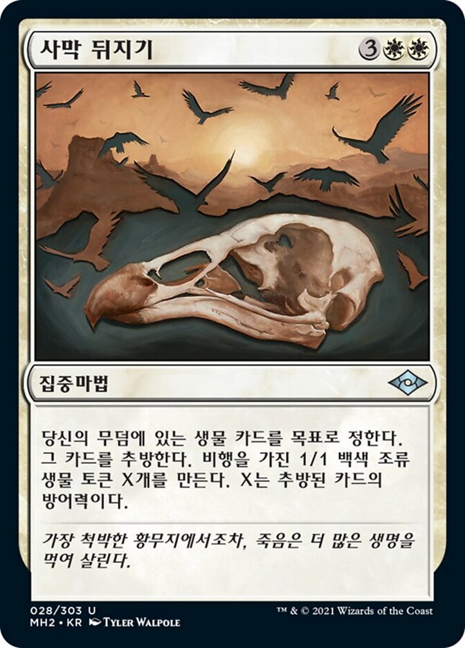 사막 뒤지기