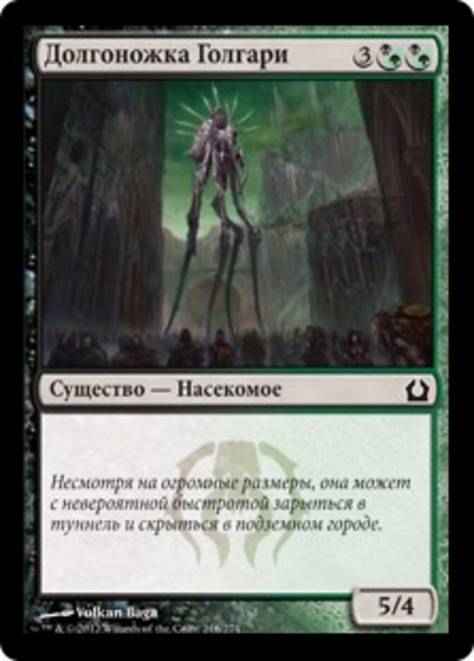 Долгоножка Голгари