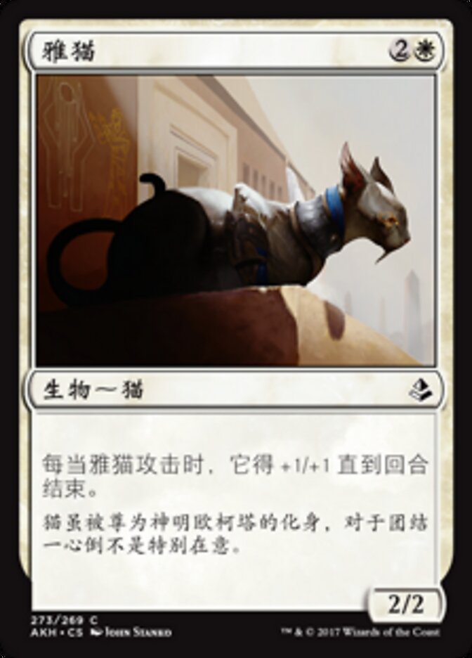 雅猫