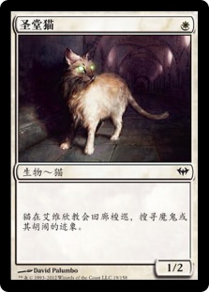 圣堂猫