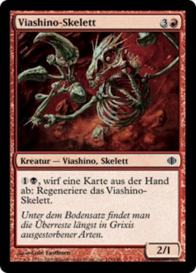 Viashino-Skelett