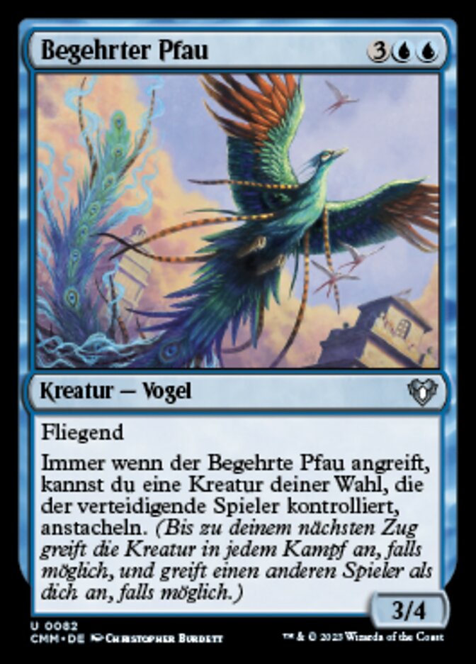 Begehrter Pfau